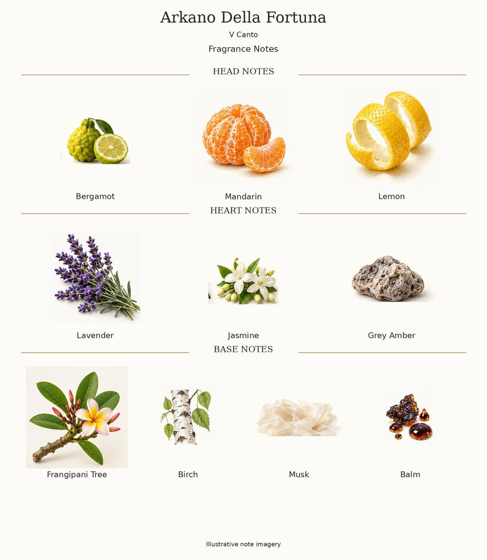 V Canto Arkano Della Fortuna — complete fragrance notes; illustrative material artwork