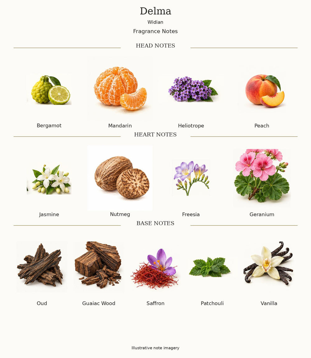 Widian Delma — complete fragrance notes; illustrative material artwork