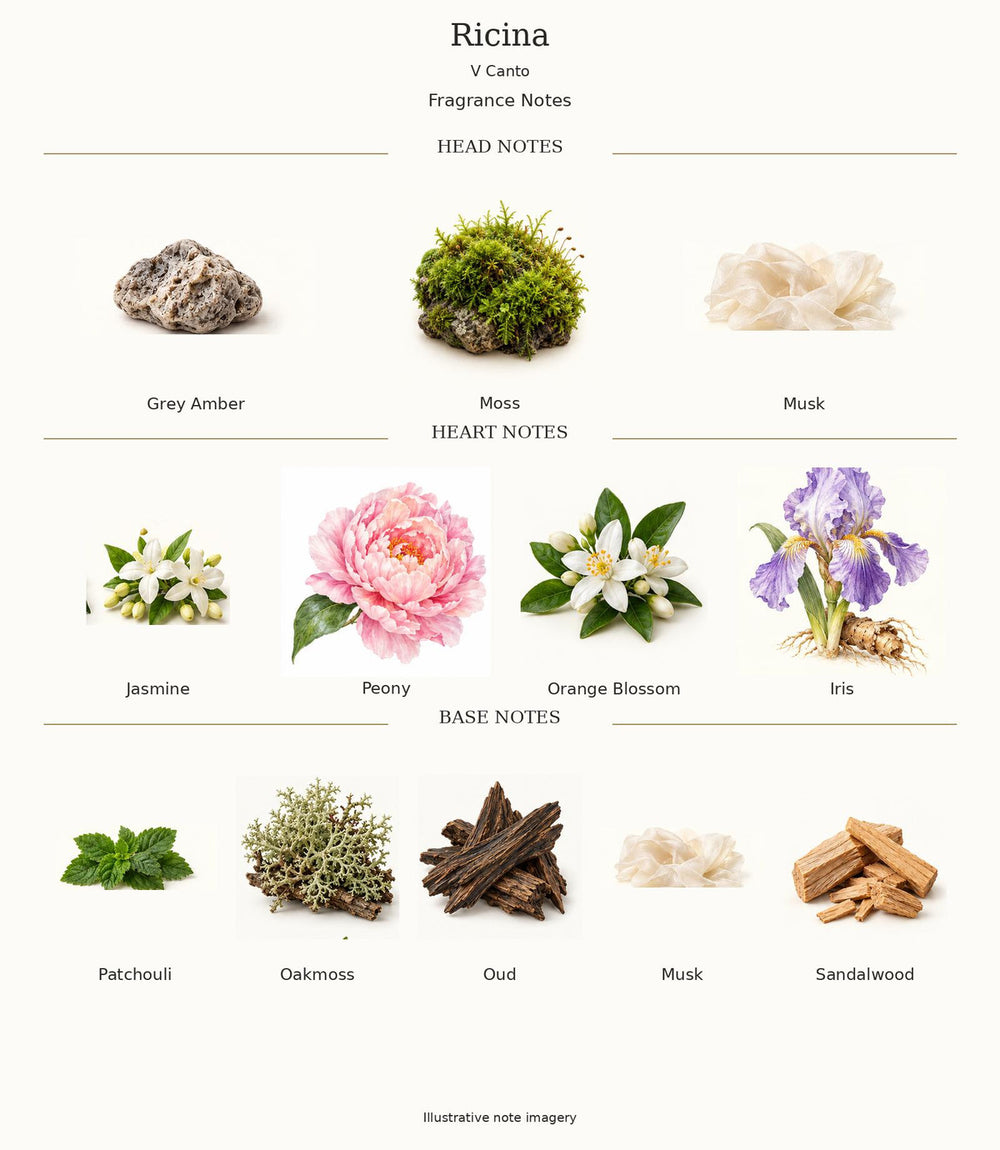 V Canto Ricina — complete fragrance notes; illustrative material artwork