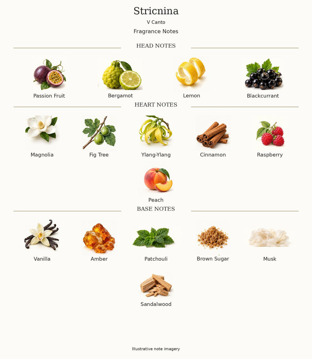 V Canto Stricnina — complete fragrance notes; illustrative material artwork