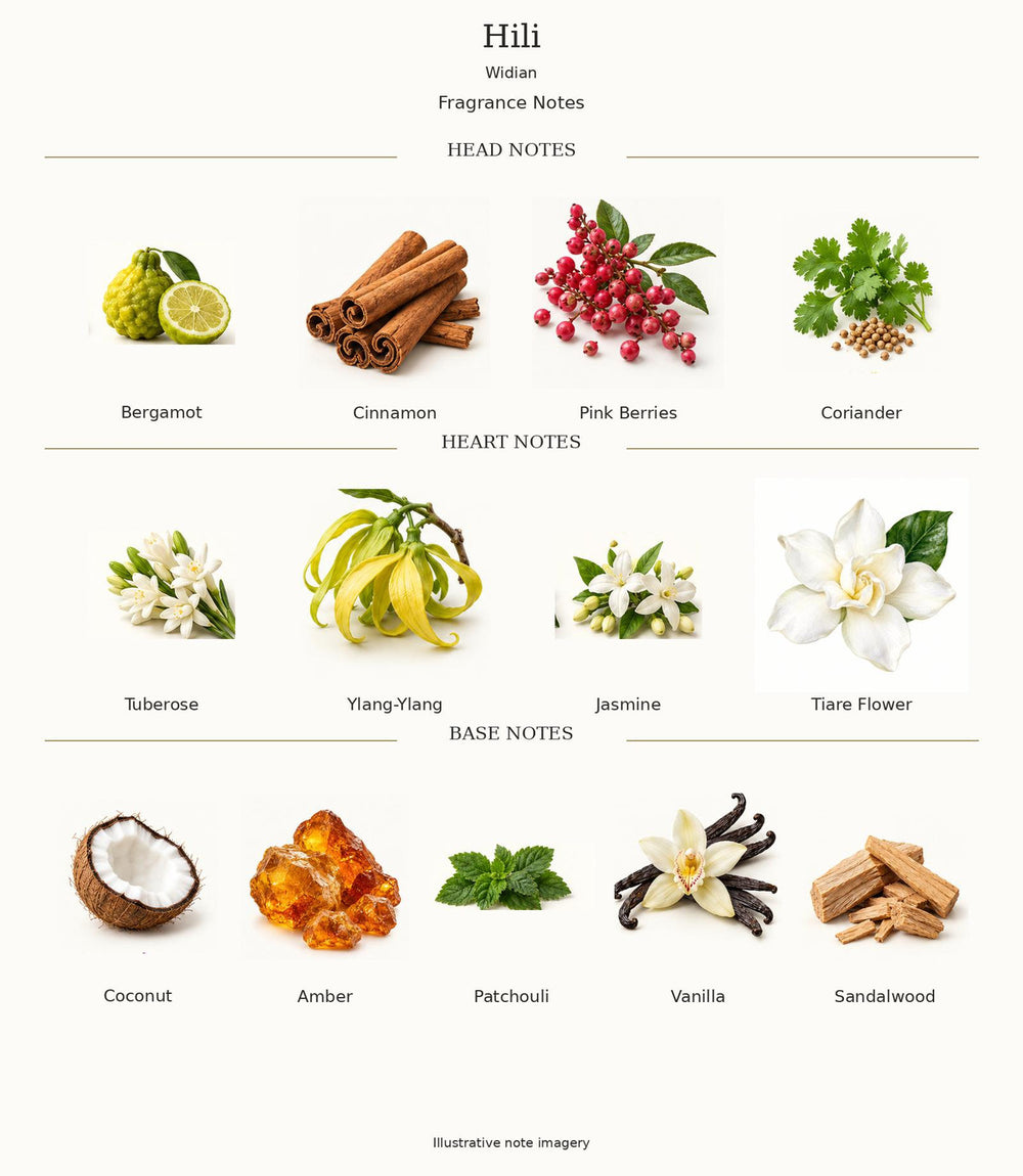 Widian Hili — complete fragrance notes; illustrative material artwork