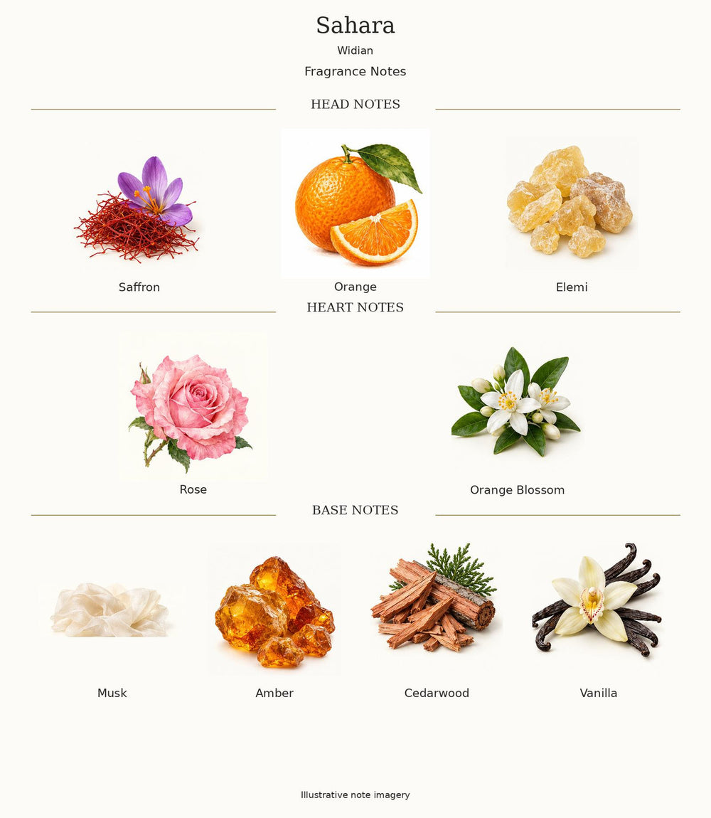 Widian Sahara — complete fragrance notes; illustrative material artwork