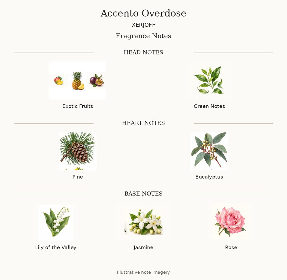 ACCENTO OVERDOSE by XERJOFF — complete illustrated fragrance notes