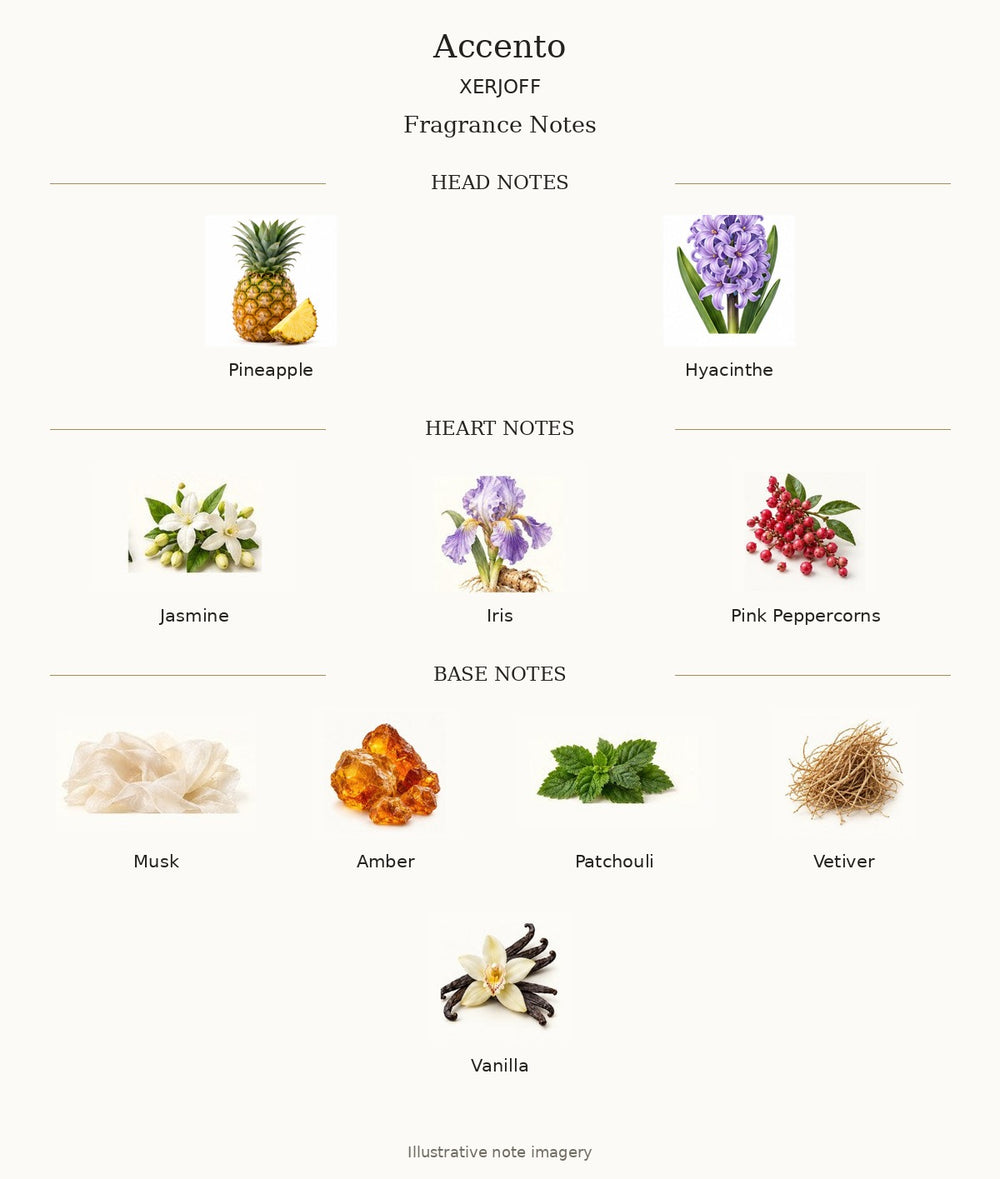 ACCENTO by XERJOFF — complete illustrated fragrance notes