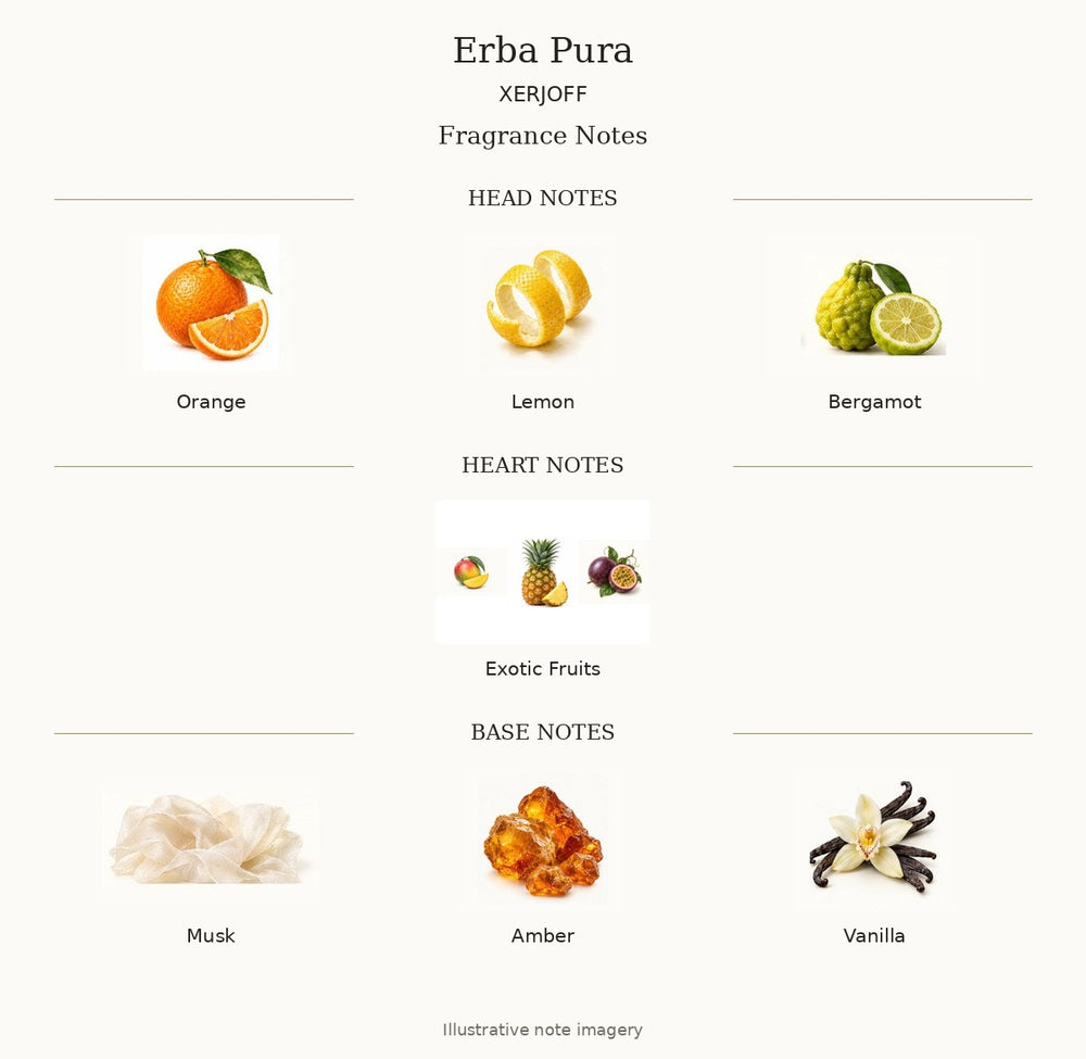 ERBA PURA by XERJOFF — complete illustrated fragrance notes