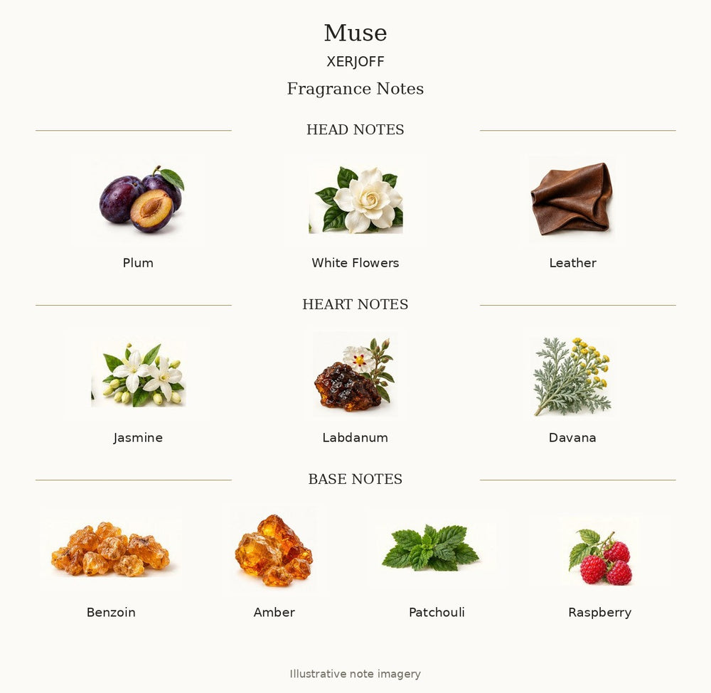 MUSE by XERJOFF — complete illustrated fragrance notes
