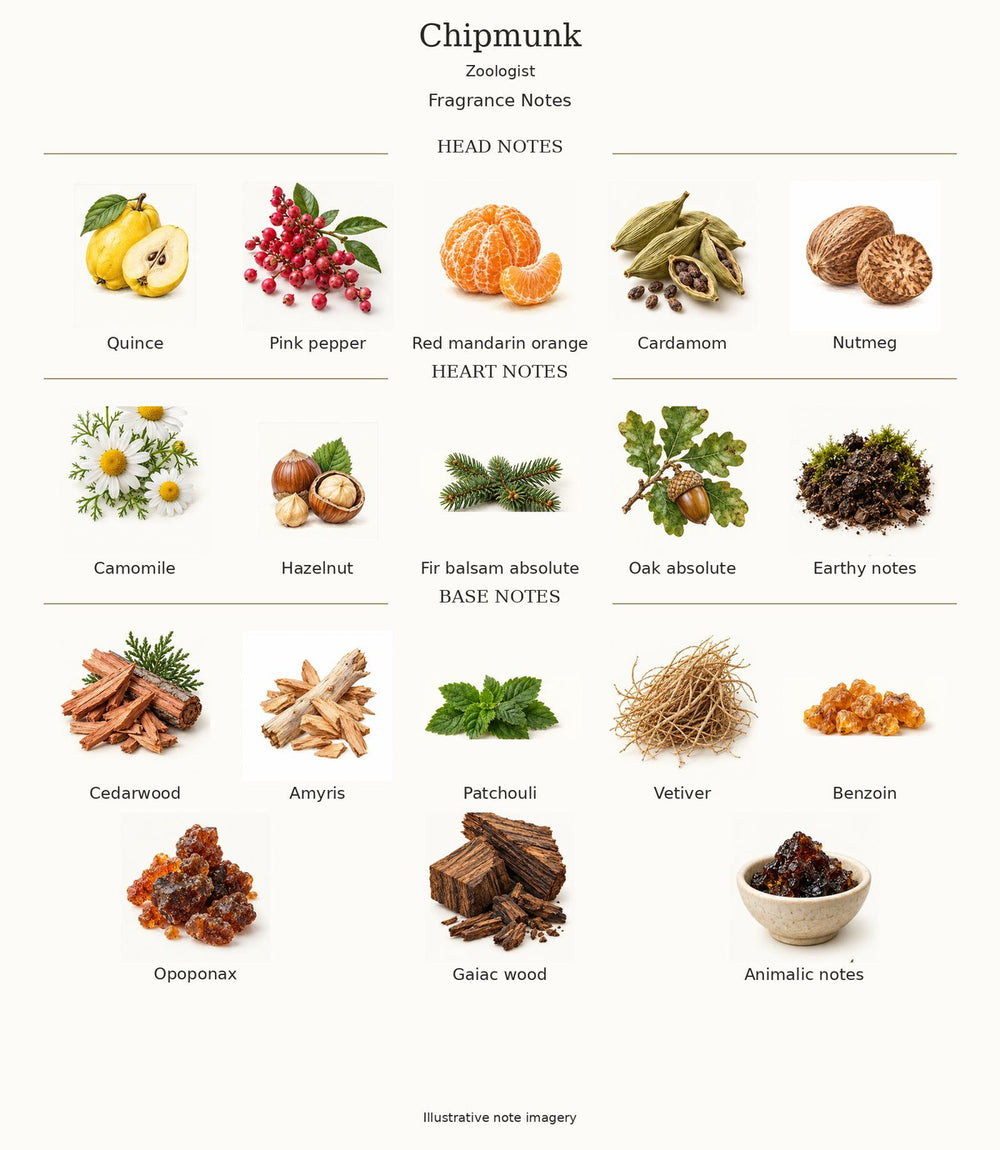 Zoologist Chipmunk — complete verified fragrance notes; illustrative artwork