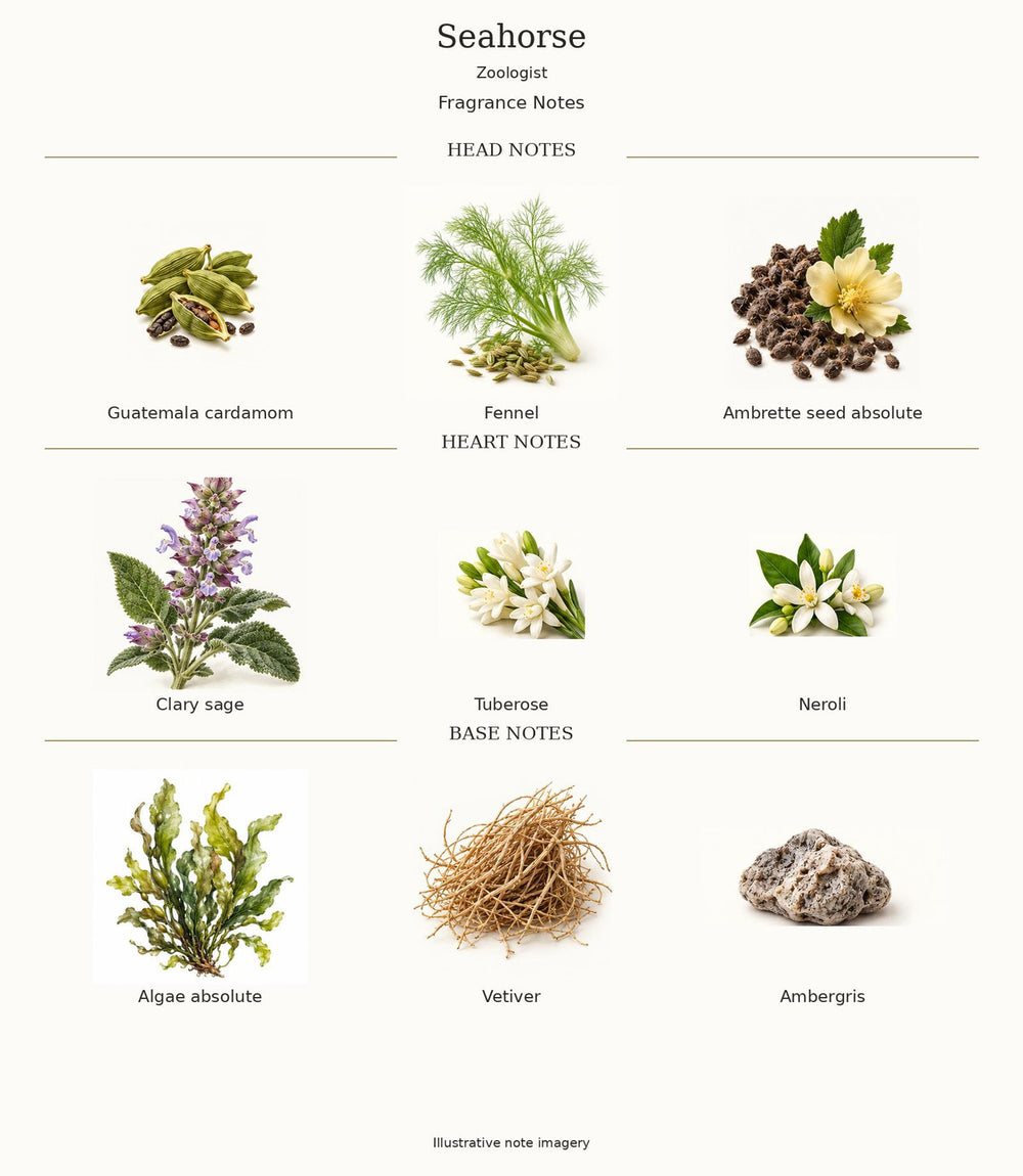 Zoologist Seahorse — complete verified fragrance notes; illustrative artwork
