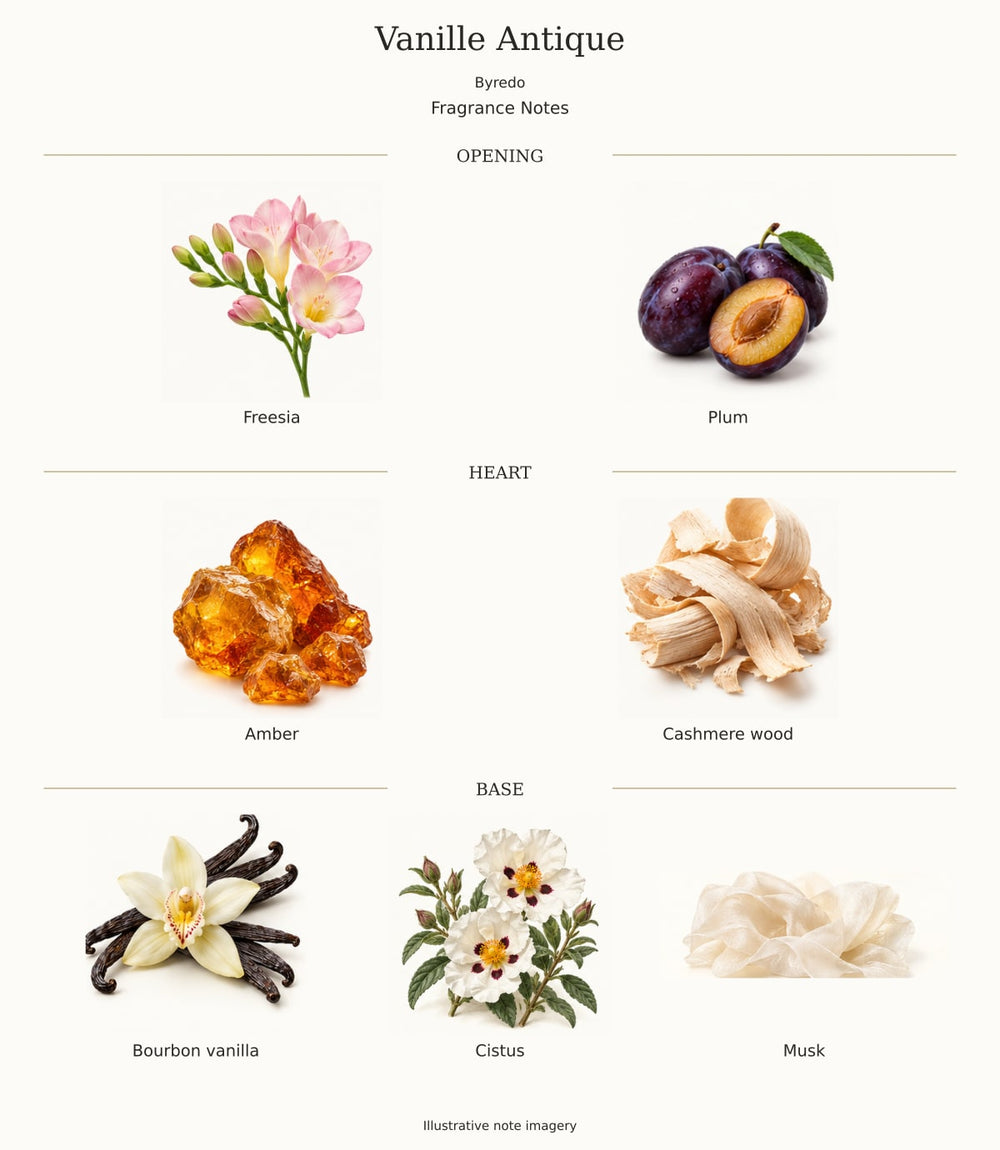 Vanille Antique — illustrated opening, heart and base fragrance notes