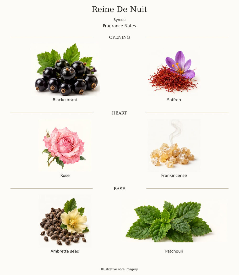 Reine De Nuit — illustrated opening, heart and base fragrance notes