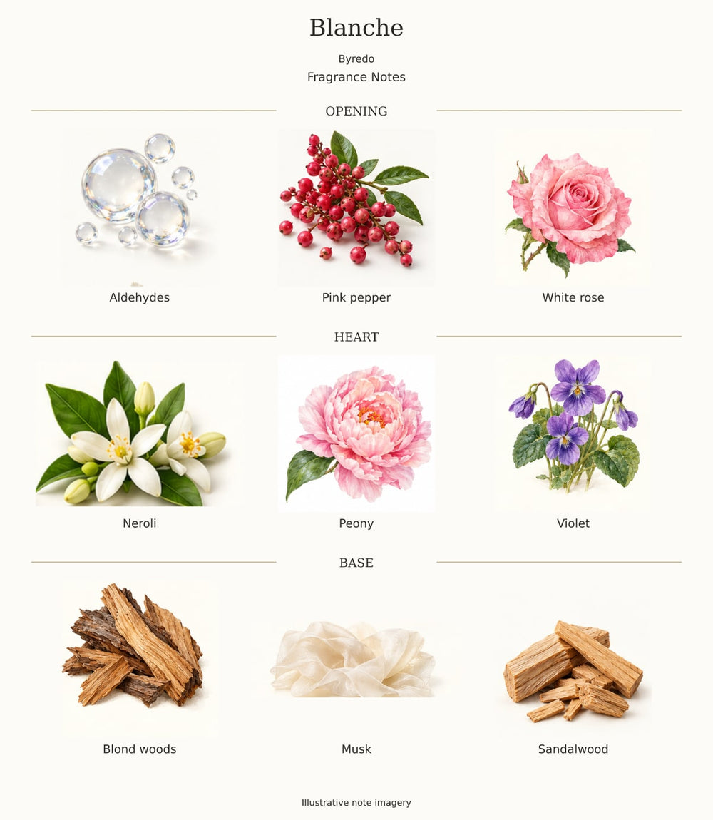 Blanche — illustrated opening, heart and base fragrance notes