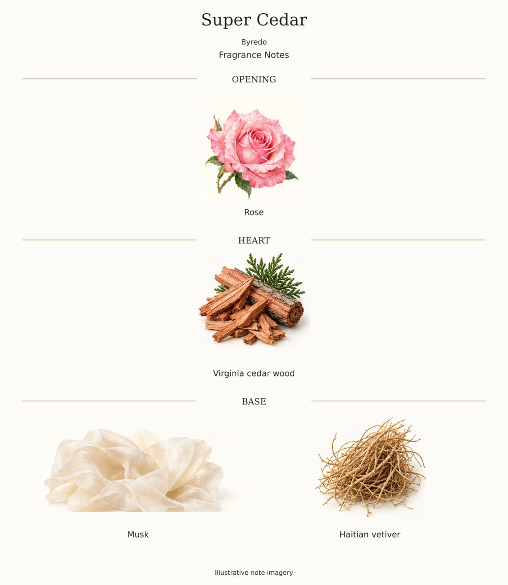 Super Cedar — illustrated opening, heart and base fragrance notes