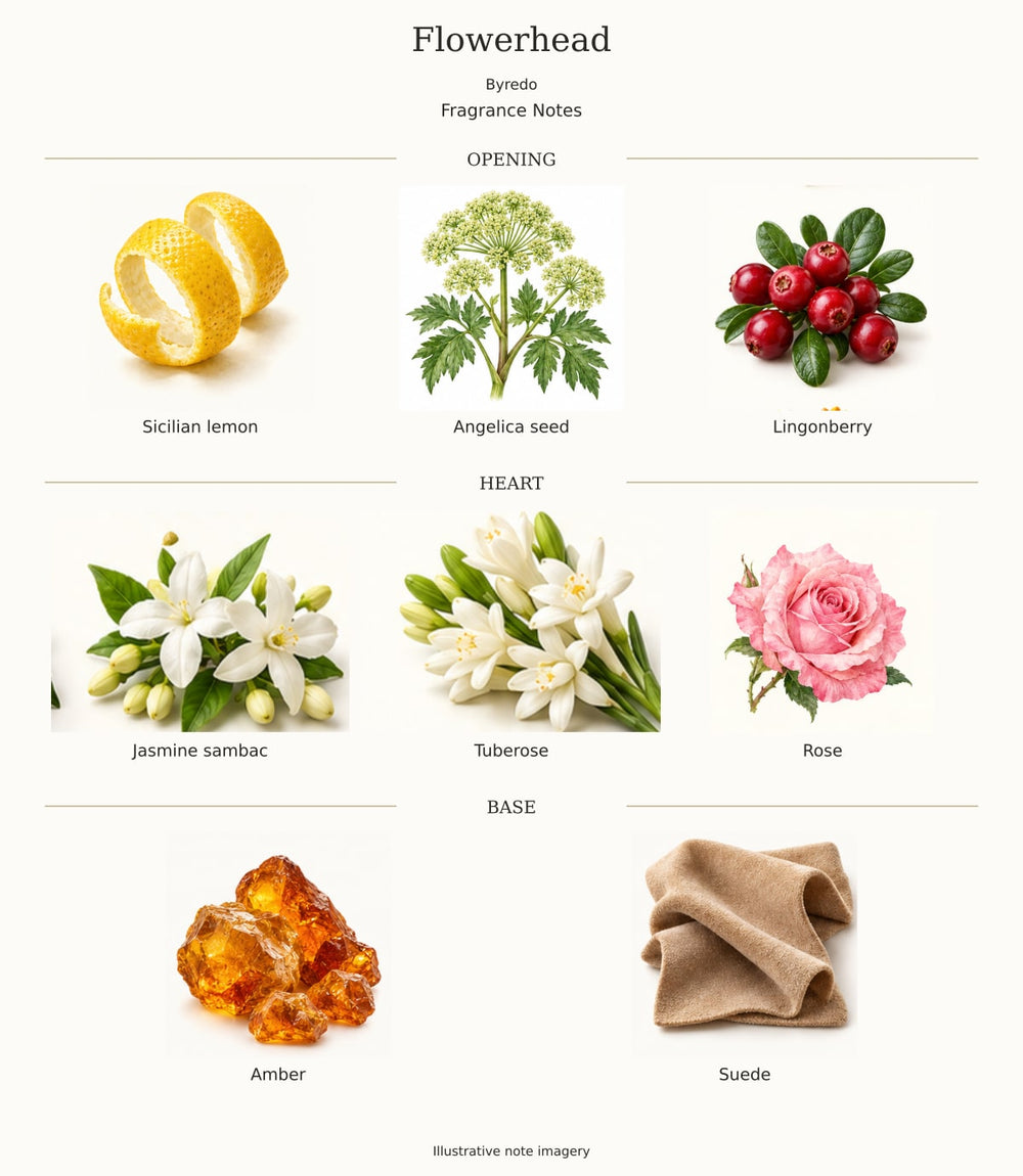 Flowerhead — illustrated opening, heart and base fragrance notes