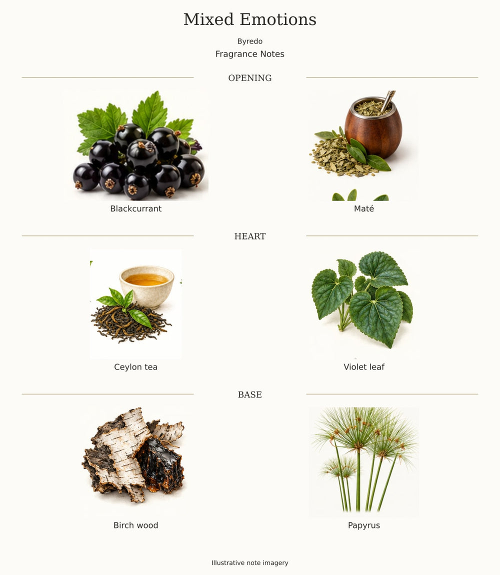 Mixed Emotions — illustrated opening, heart and base fragrance notes