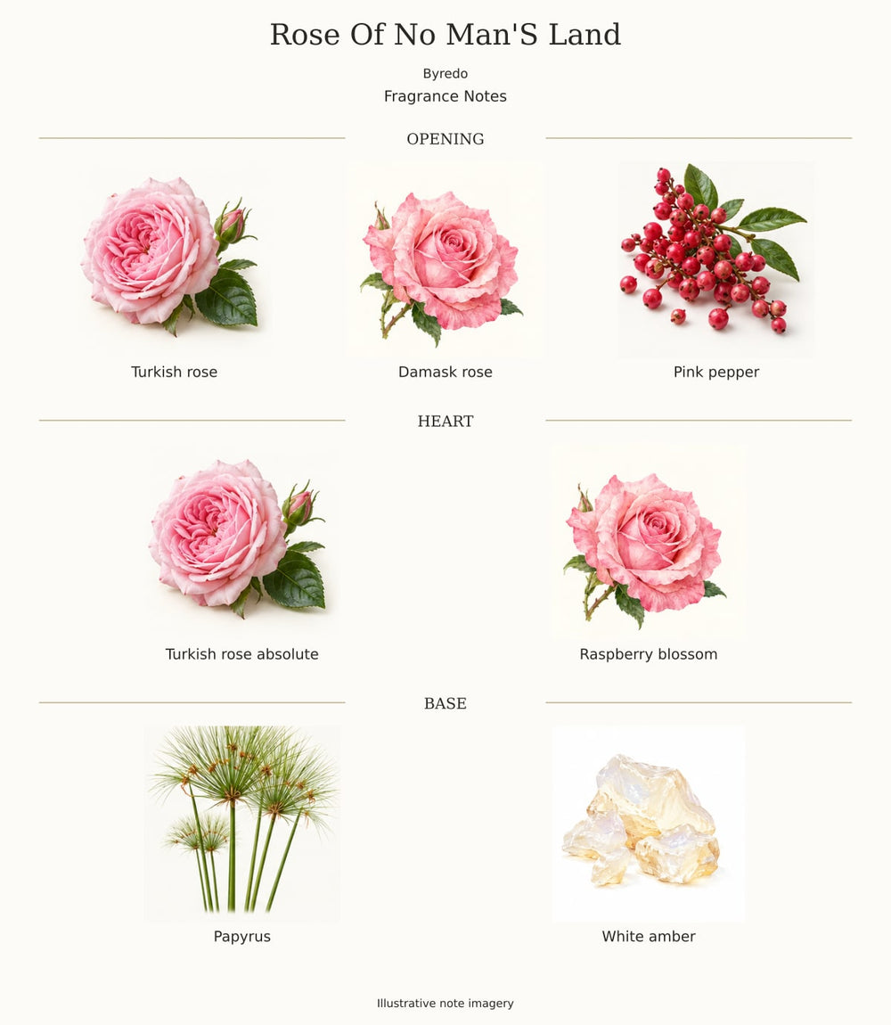 Rose Of No Man'S Land — illustrated opening, heart and base fragrance notes