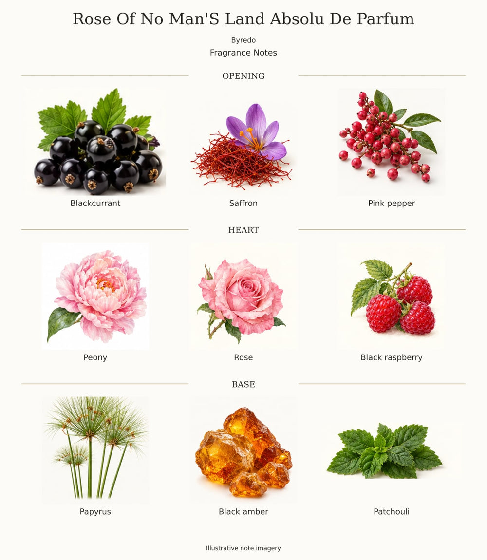 Rose Of No Man'S Land Absolu De Parfum — illustrated opening, heart and base fragrance notes