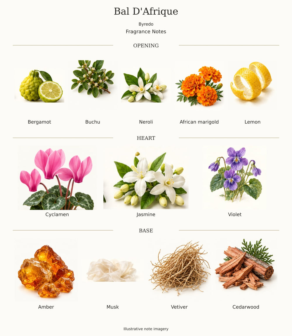 Bal D'Afrique — illustrated opening, heart and base fragrance notes