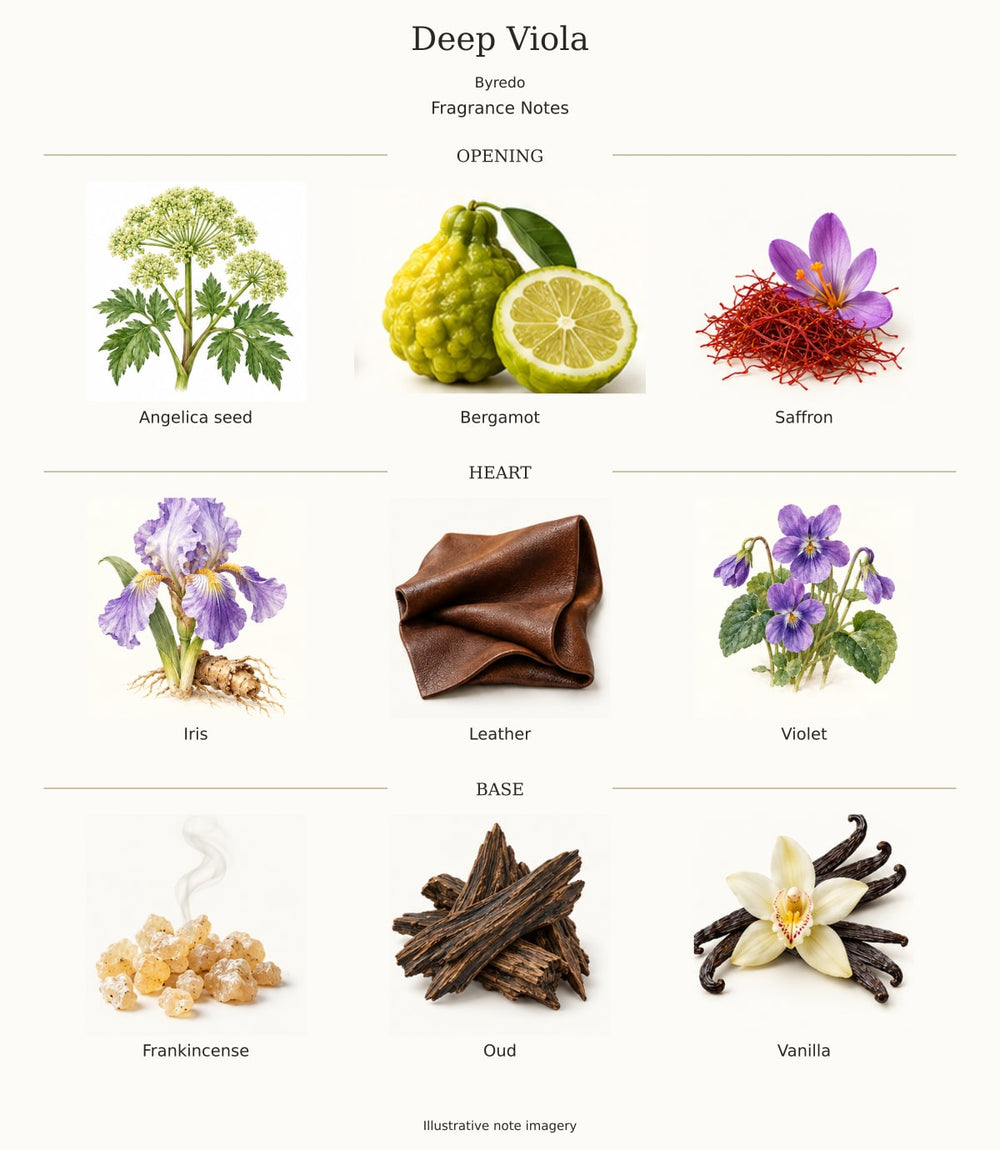 Deep Viola — illustrated opening, heart and base fragrance notes