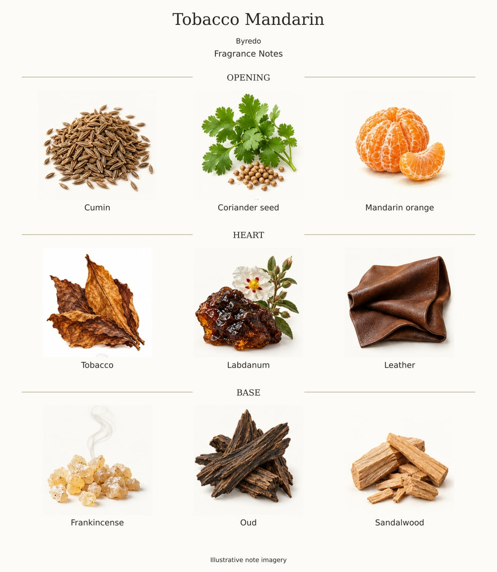 Tobacco Mandarin — illustrated opening, heart and base fragrance notes