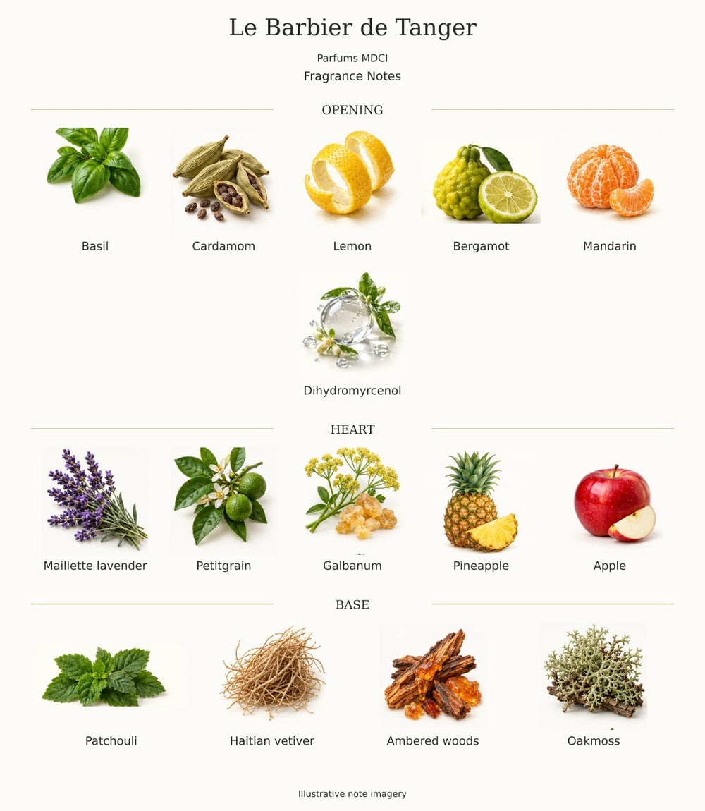 Le Barbier de Tanger — illustrated opening, heart and base fragrance notes