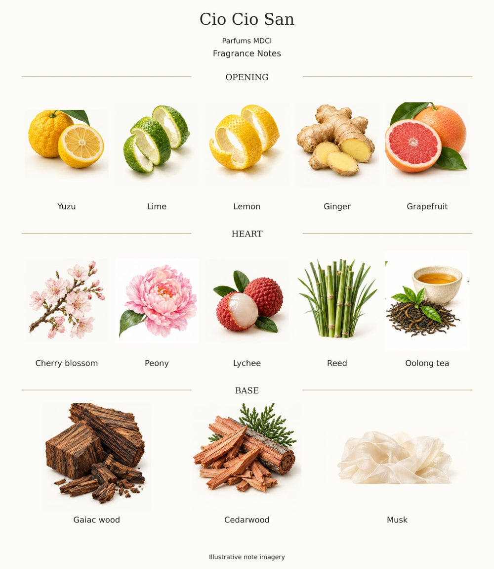 Cio Cio San — illustrated opening, heart and base fragrance notes