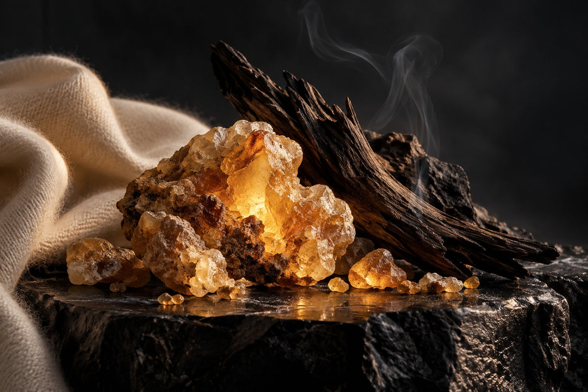 Golden resin, charred cedar and ivory cashmere against an obsidian plinth and deep winter shadow