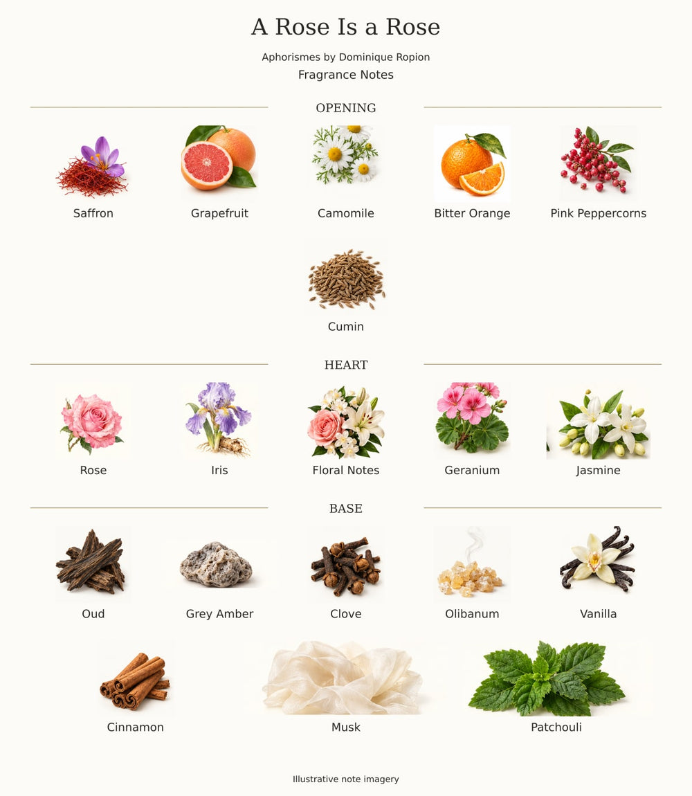 A Rose Is a Rose — complete opening, heart and base fragrance notes; illustrative imagery