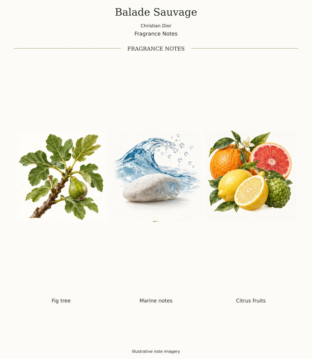Complete verified BALADE SAUVAGE fragrance note chart
