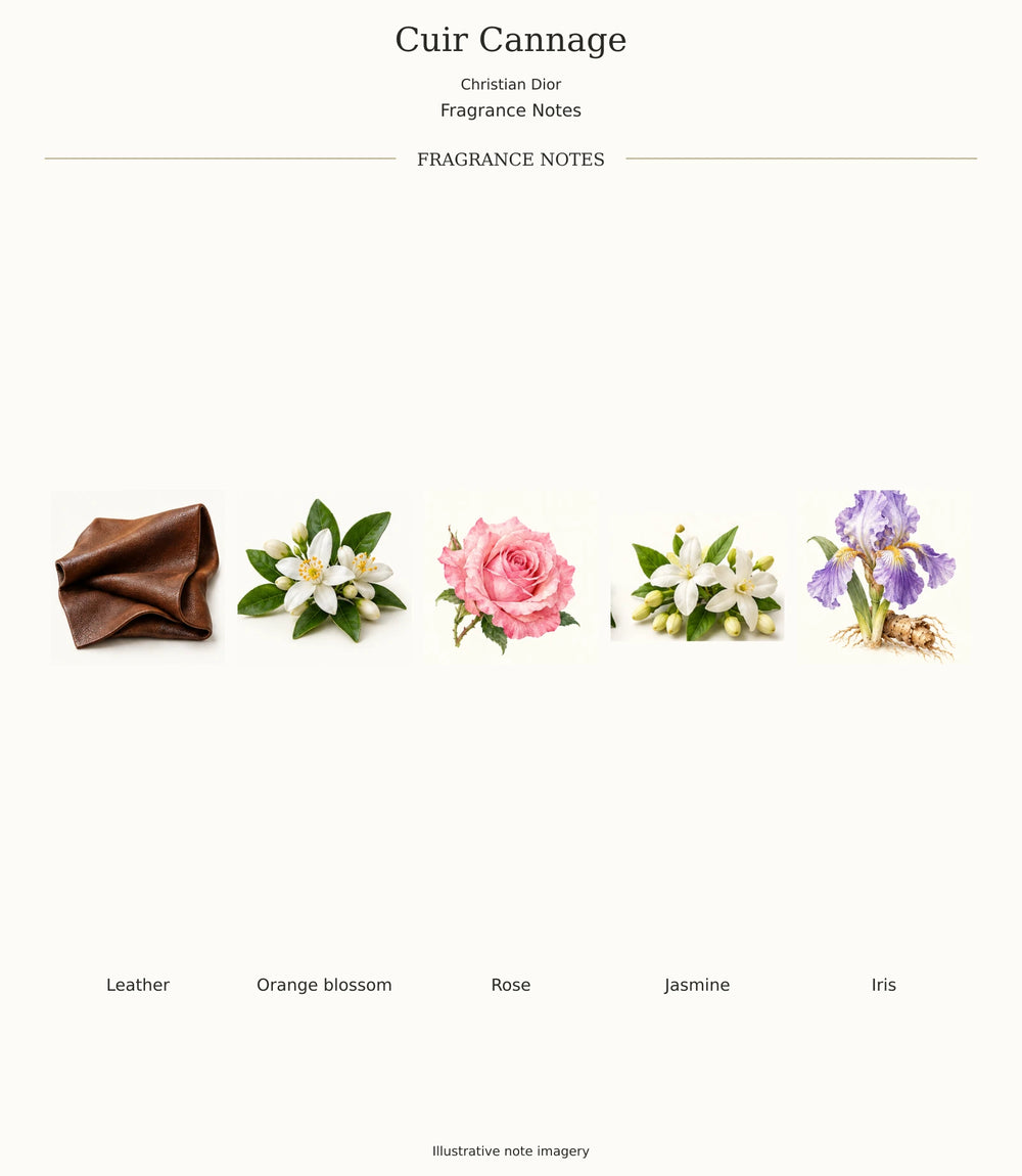 Complete verified CUIR CANNAGE fragrance note chart