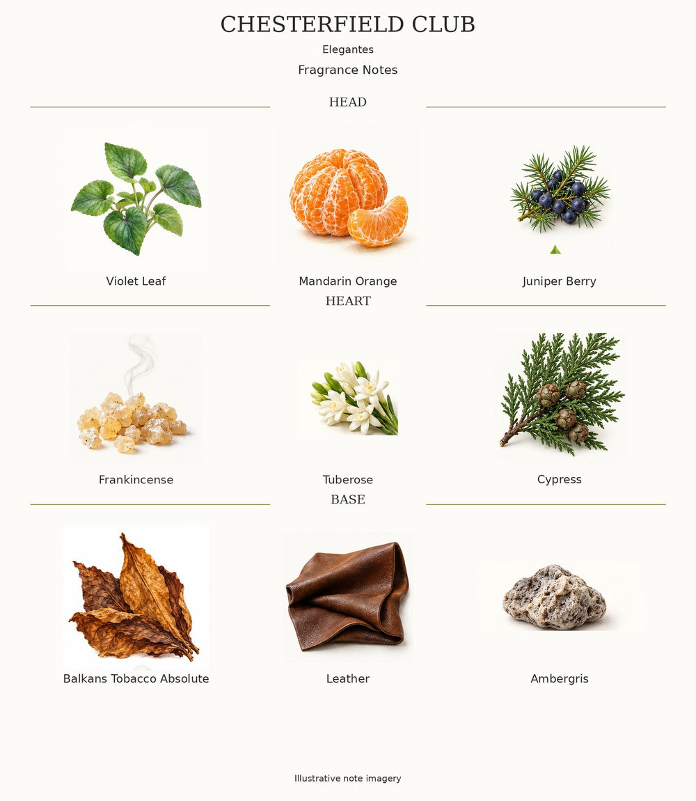 CHESTERFIELD CLUB complete fragrance notes