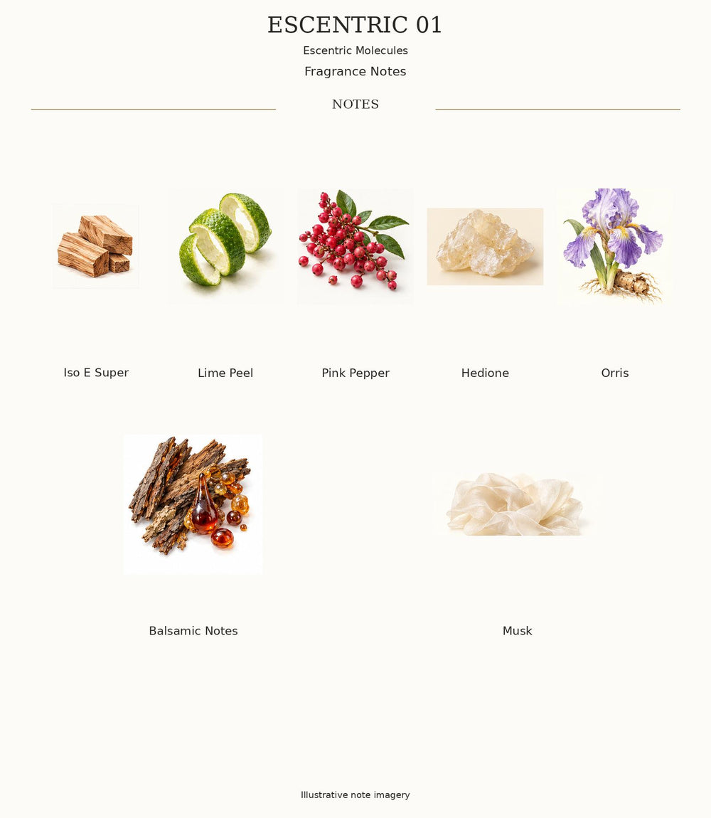 ESCENTRIC 01 complete illustrated fragrance notes