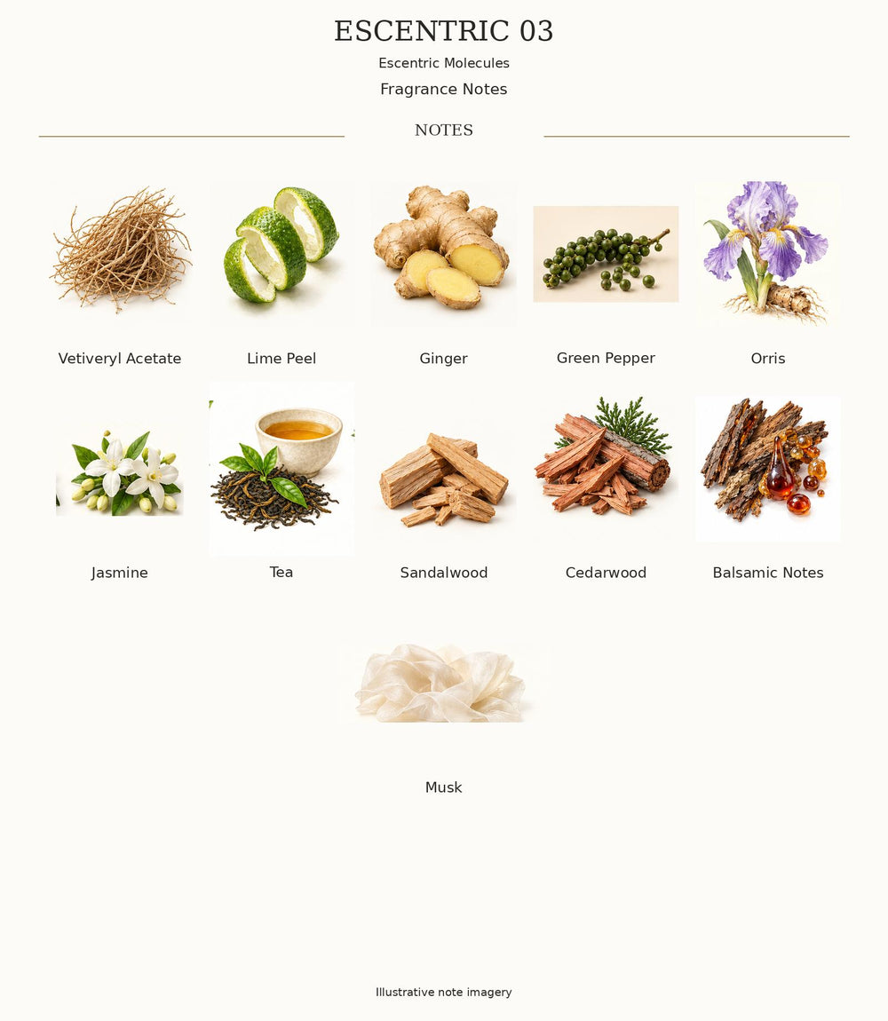 ESCENTRIC 03 complete illustrated fragrance notes