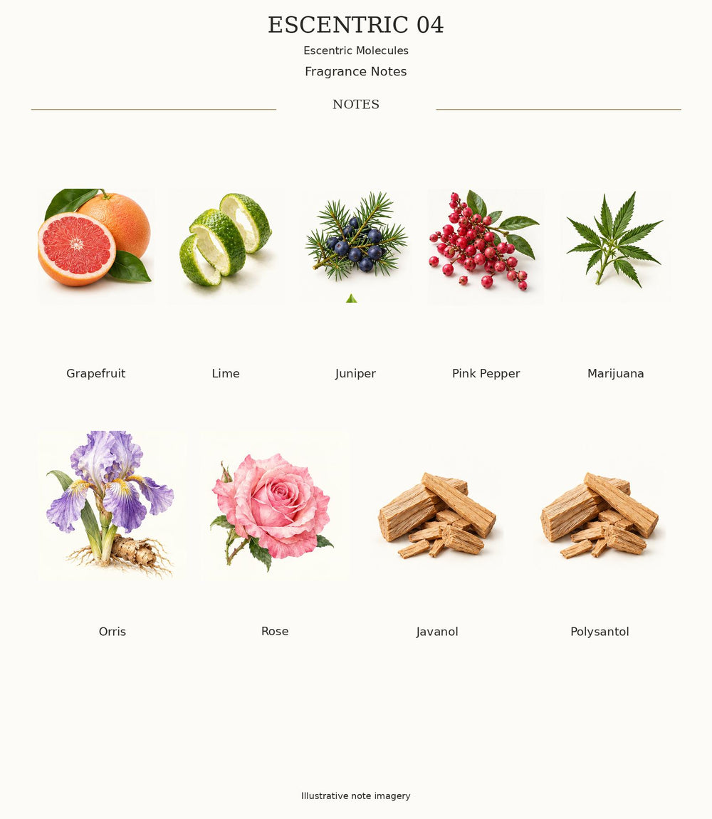 ESCENTRIC 04 complete illustrated fragrance notes