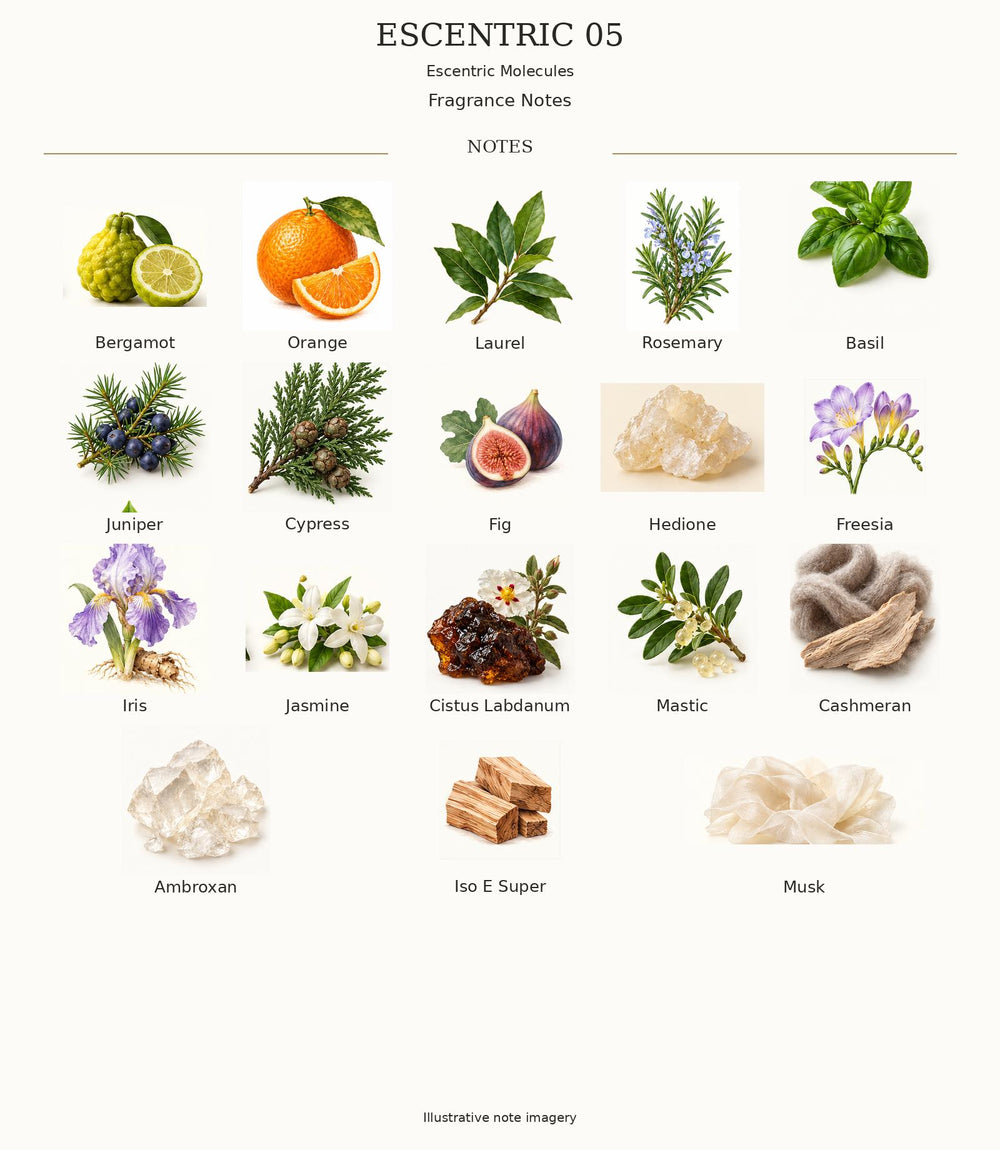 ESCENTRIC 05 complete illustrated fragrance notes
