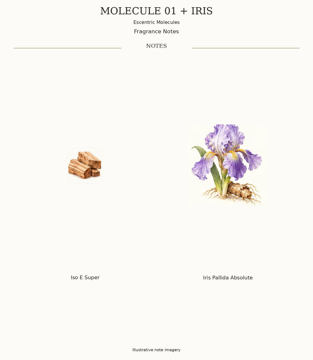 MOLECULE 01 + IRIS complete illustrated fragrance notes