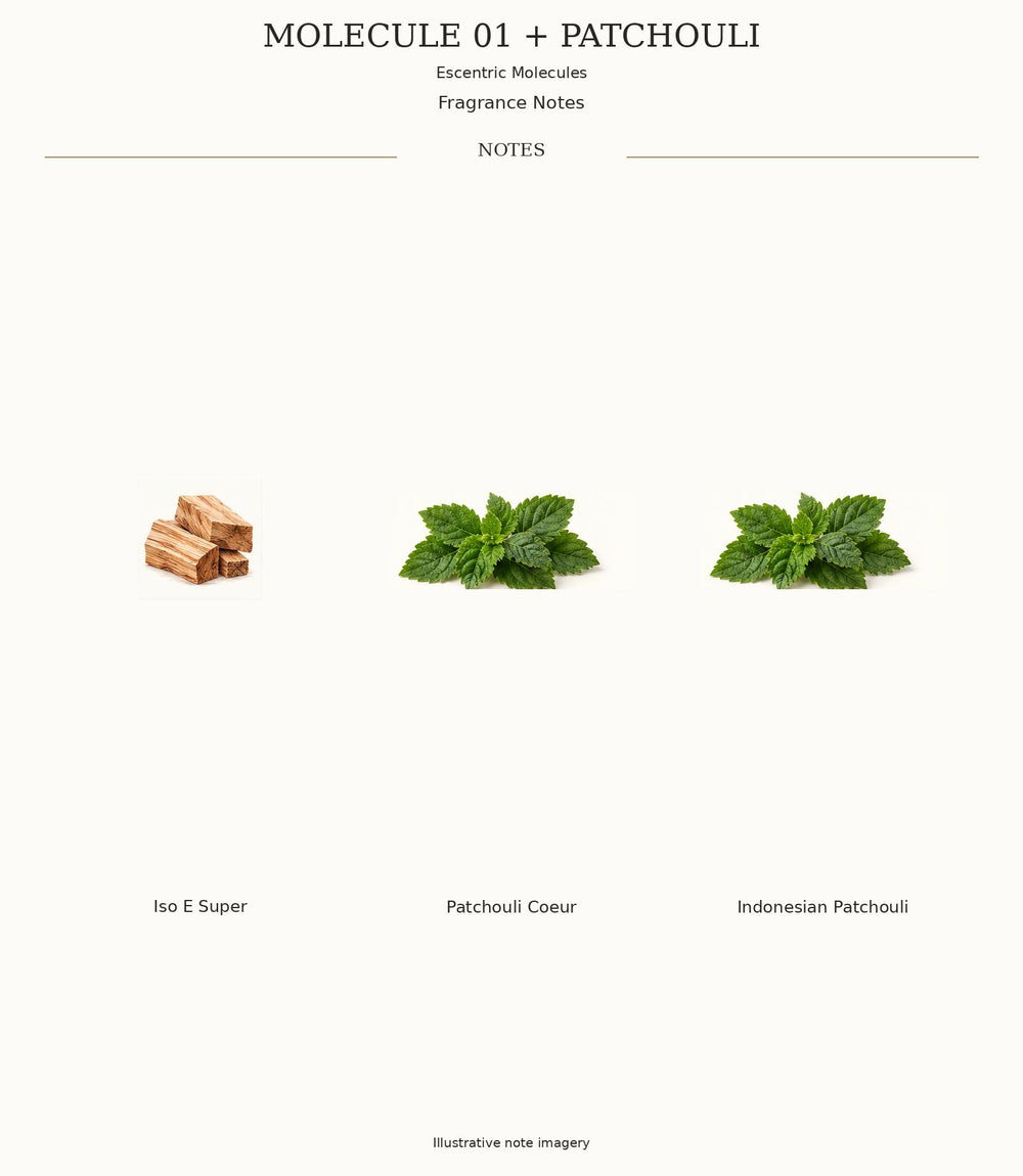 MOLECULE 01 + PATCHOULI complete illustrated fragrance notes