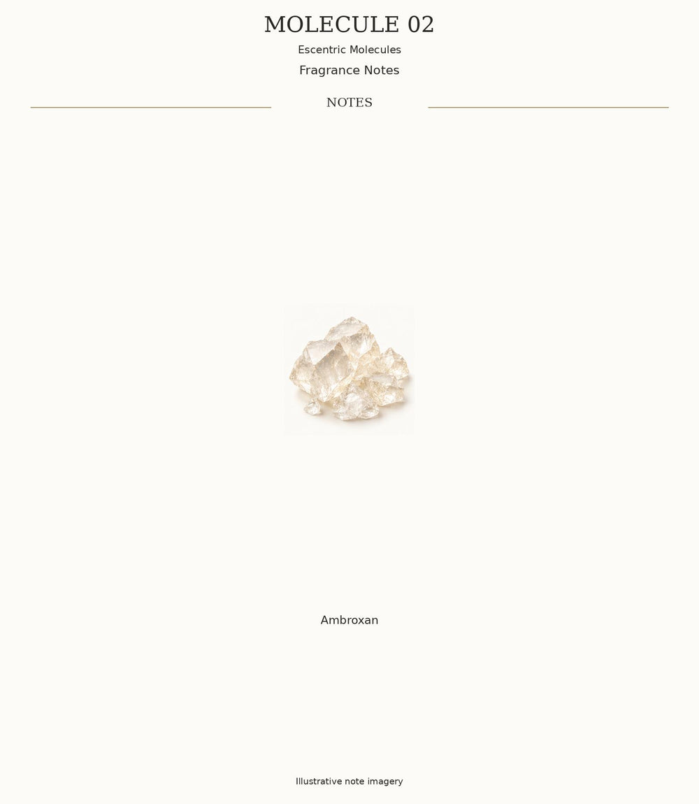 MOLECULE 02 complete illustrated fragrance notes