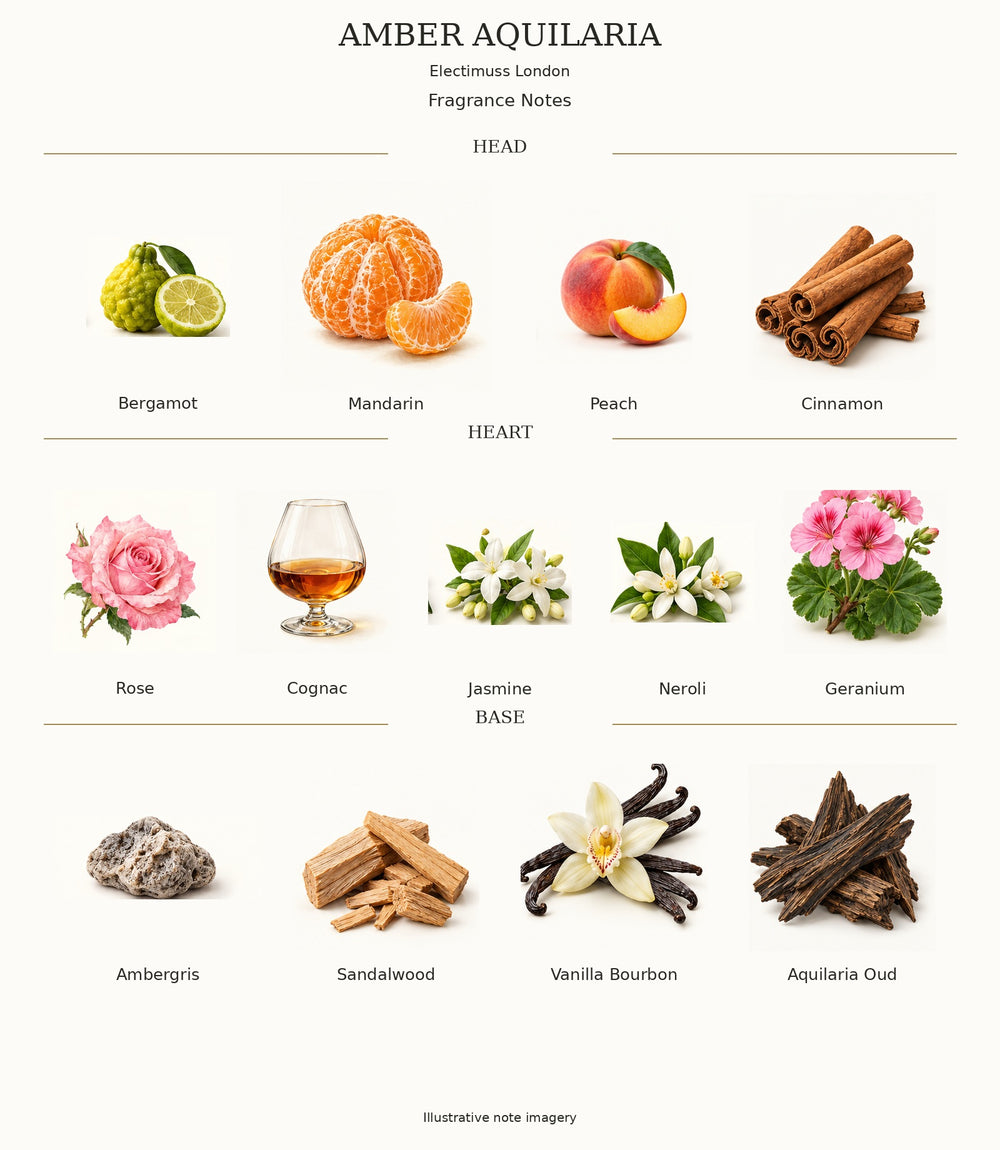 AMBER AQUILARIA by Electimuss London — complete fragrance notes