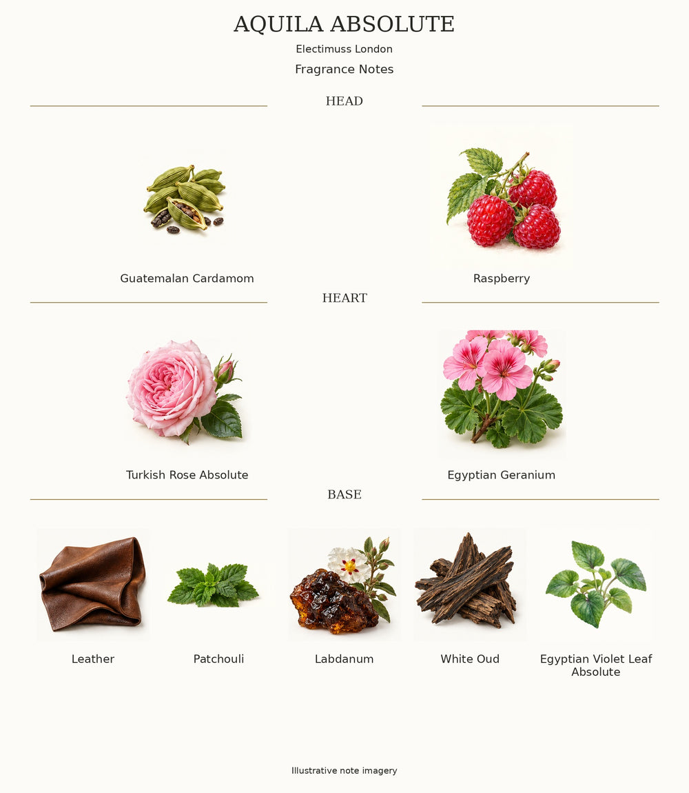 AQUILA ABSOLUTE by Electimuss London — complete fragrance notes