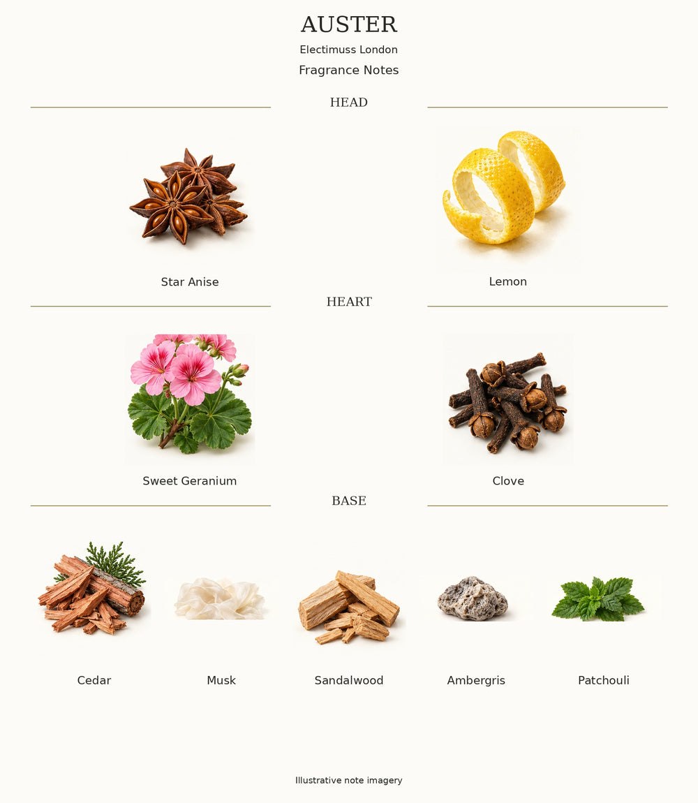AUSTER by Electimuss London — complete fragrance notes