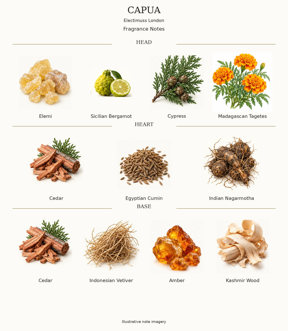CAPUA by Electimuss London — complete fragrance notes