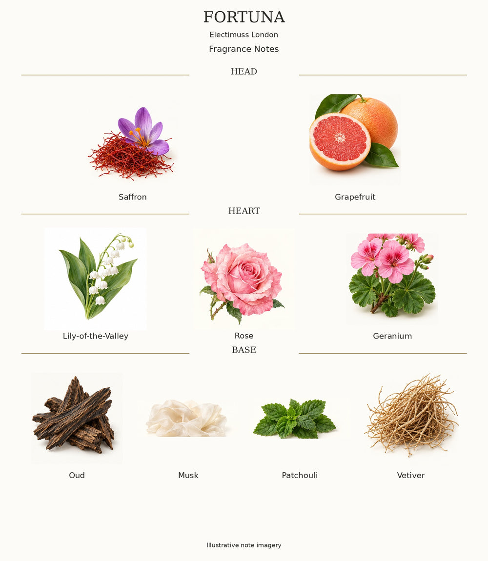 FORTUNA by Electimuss London — complete fragrance notes