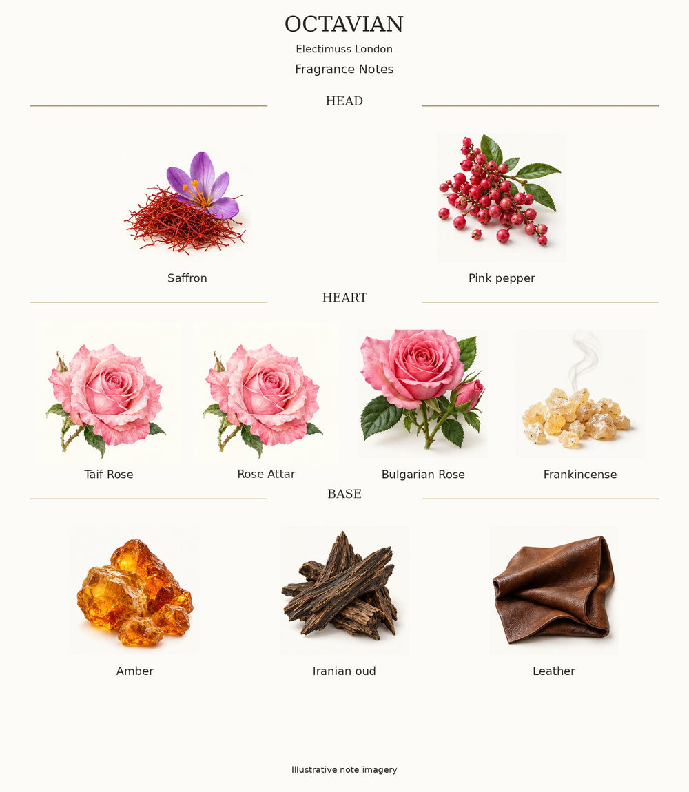 OCTAVIAN by Electimuss London — complete fragrance notes