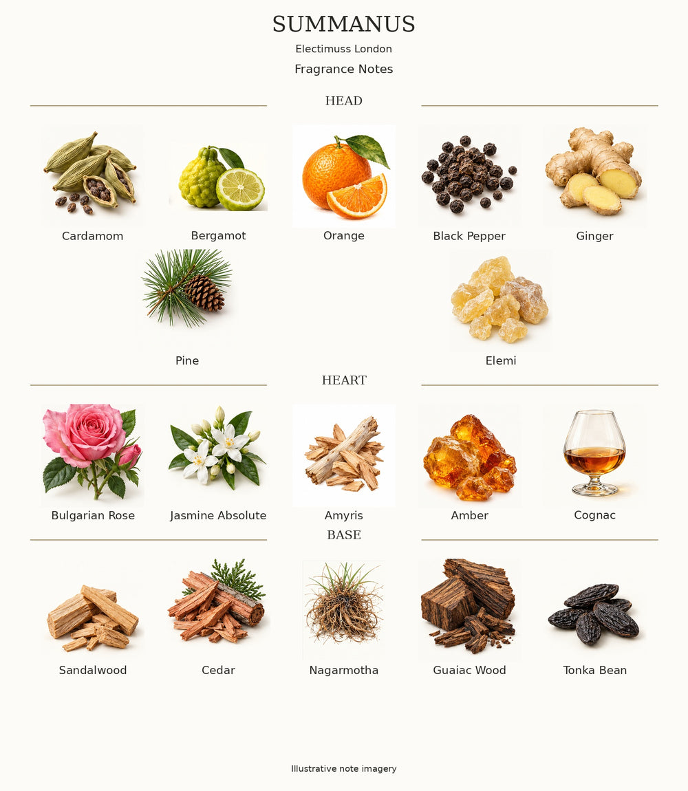 SUMMANUS by Electimuss London — complete fragrance notes
