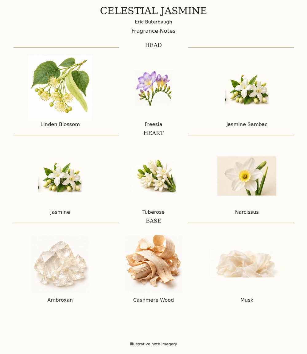 CELESTIAL JASMINE — complete illustrated fragrance notes