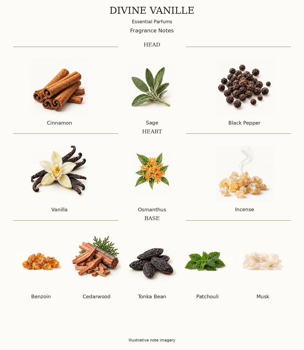 DIVINE VANILLE — complete illustrated fragrance notes