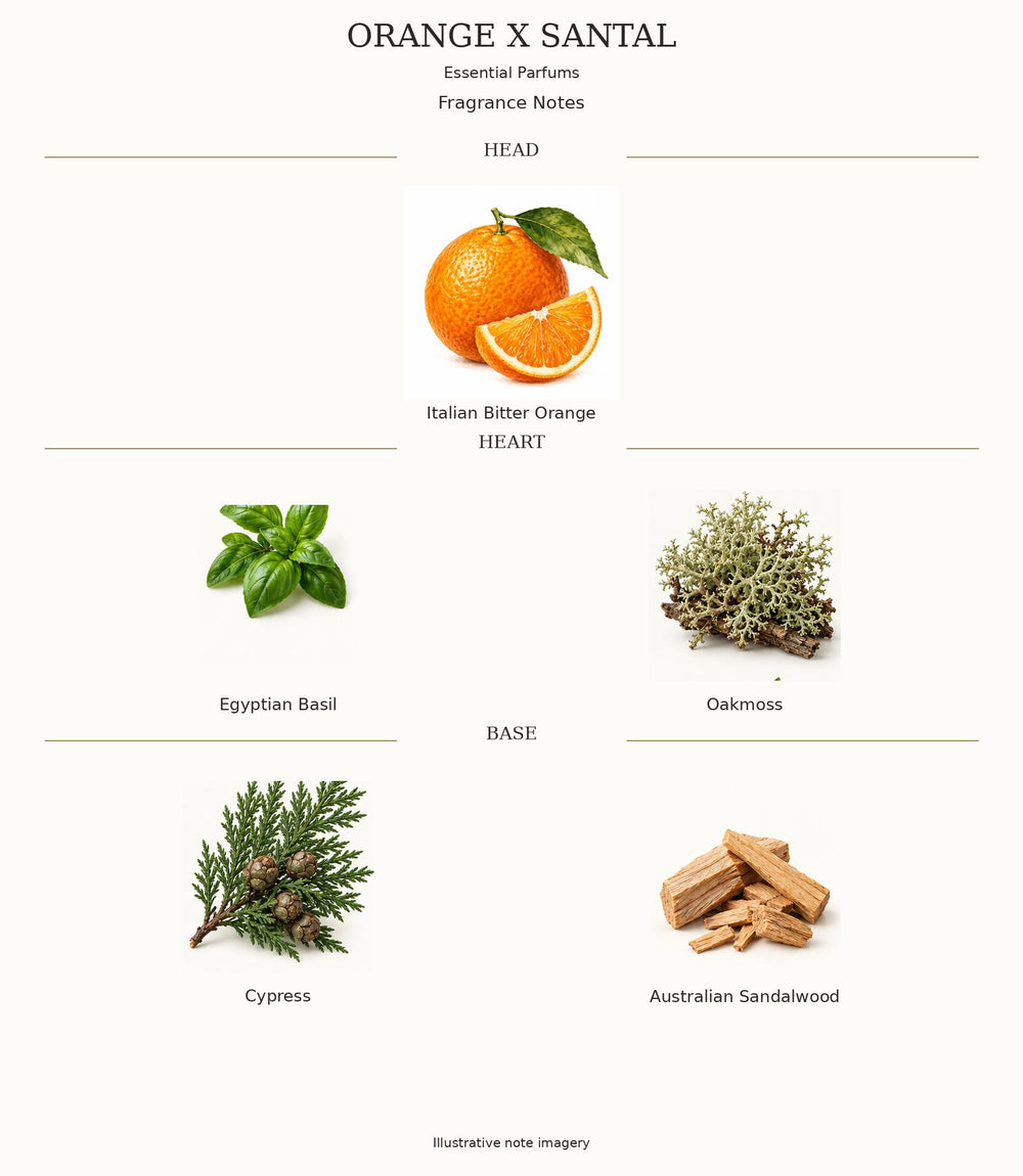 ORANGE X SANTAL — complete illustrated fragrance notes