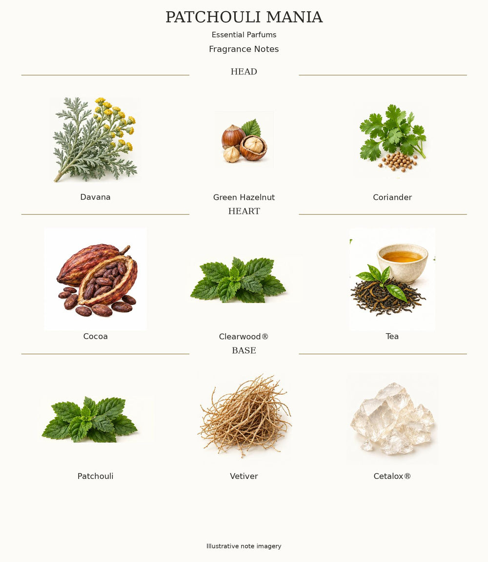 PATCHOULI MANIA — complete illustrated fragrance notes