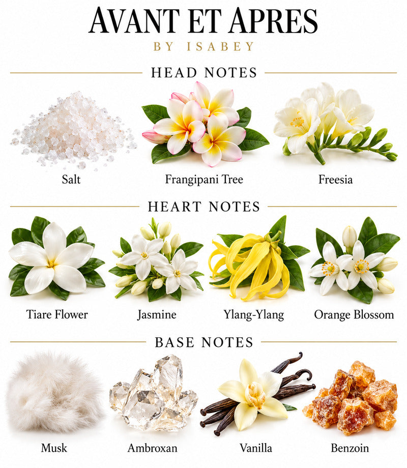Avant Et Apres by ISABEY complete illustrated fragrance notes