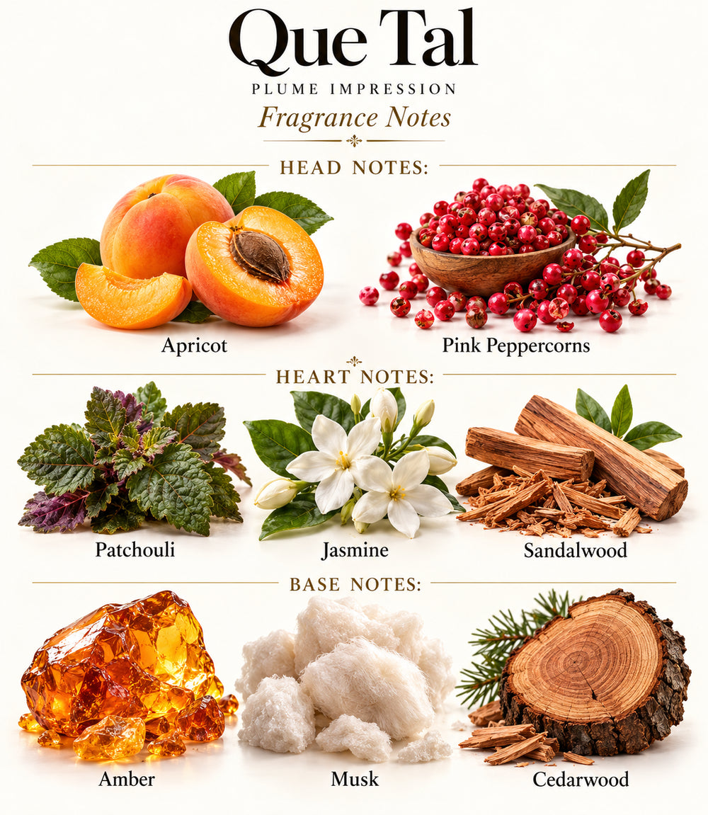 QUE TAL: complete illustrated fragrance notes with individually labelled ingredients